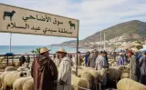 سلطات تطوان تتحرك لمحاصرة بيع الأضاحي داخل “الكراجات”