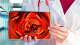 خلايا الدم تدخل سباق علاج السرطان بتقنية صينية واعدة