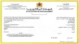 قرار وزاري جديد يتيح إعادة طباعة شهادة البكالوريا ويُقر تعديلات في الامتحانات