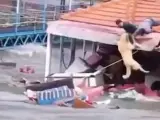 بالفيديو... لحظة إنقاذ كلب بعد انتشاله من دوامات مياه الفيضانات بتركيا .