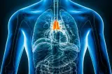 اكتشاف علمي.. عضو منسي قد يكشف مبكرا خطر السرطان وأمراض القلب