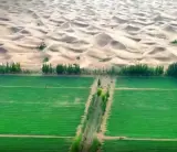 الصين تستخدم الطحالب المقاومة للجفاف لتحويل الصحراء إلى أراضٍ مستقرة وقابلة للاستصلاح