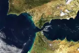 قطع 16 كيلومترا دون توقف.. موظف هندي ينجح في عبور مضيق جبل طارق سباحة