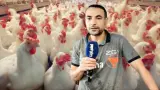 مهني يكشف أسباب ارتفاع أسعار الدجاج وتأثيرها على القدرة الشرائية للأسر المغربية