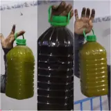 زيتون ݣرسيف "الرومي" يدفع الوزانيين لإعلان استيائهم وتحذير الباحثين عن "الزيت الوزانية الحرة"