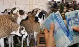 مطالب بتعميم منحتي العيد والشهر الثالث عشر تحقيقا للعدالة الاجتماعية