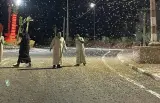 أسراب من الجراد تجتاح منطقة إغرم بإقليم تارودانت (صور)