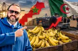 بعد اعتراف دول مورّدة بمغربية الصحراء.. الموز يختفي من موائد الجزائريين بسبب حسابات النظام