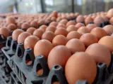 سالات البروموسيون.. ارتفاع أسعار البيض بالمغرب والحبة الواحدة تصل إلى درهم ببعض الأسواق