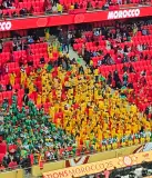 الجماهير السنغالية تخلق أجواء احتفالية إفريقية قبيل مواجهة نهائي الكان الحاسمة