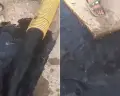 أولاد تايمة.. خروج سائل أسود برائحة النفط أثناء حفر بئر مائي يُشعل مواقع التواصل! (فيديو)